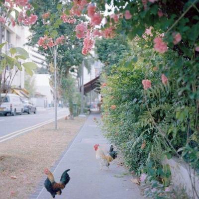 华体会体育手机app下载