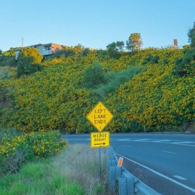 亚搏apo官网下载官方版