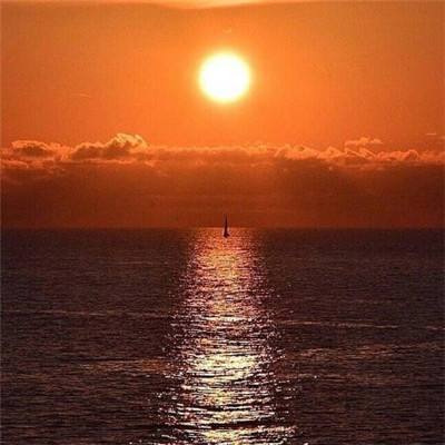 半岛5.0下载官网