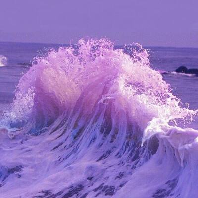 188BET官网中国官方网站